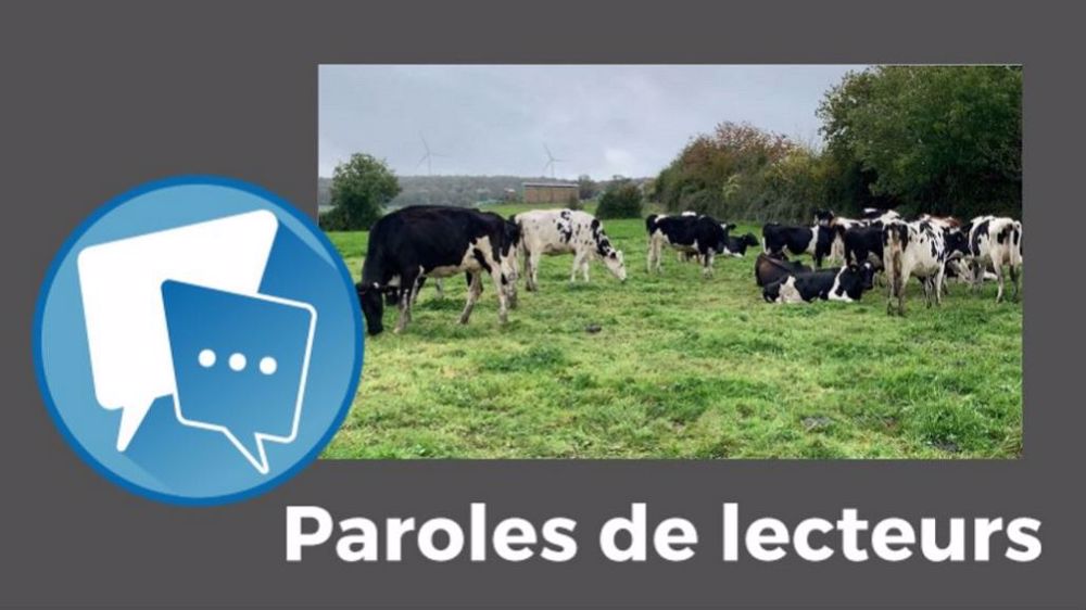  « Il vaut mieux favoriser une agriculture bio stricte pour avoir moins de volume et augmenter les prix », juge Anthony Vsr. (©Terre-net Média)