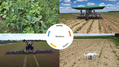 Pour Alain Rodriguez, spécialiste de la flore adventice Acta, « la diversification des assolements, c'est la base » pour réduire le recours aux herbicides. (©Arvalis, Stecomat et Terre-net Média) Pour Alain Rodriguez, spécialiste de la flore adventice Acta, « la diversification des assolements, c'est la base » pour réduire le recours aux herbicides. (©Arvalis, Stecomat et Terre-net Média)