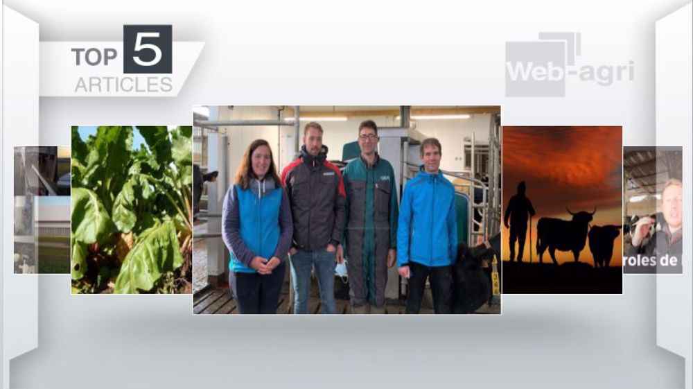 Articles les plus lus sur Web-agri cette semaine. (©Terre-net Média)