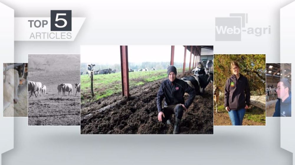  Articles les plus lus sur Web-agri cette semaine. (©Terre-net Média)