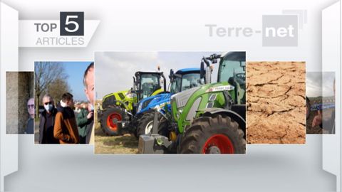Articles les plus lus sur Terre-net cette semaine. (©Terre-net Média)