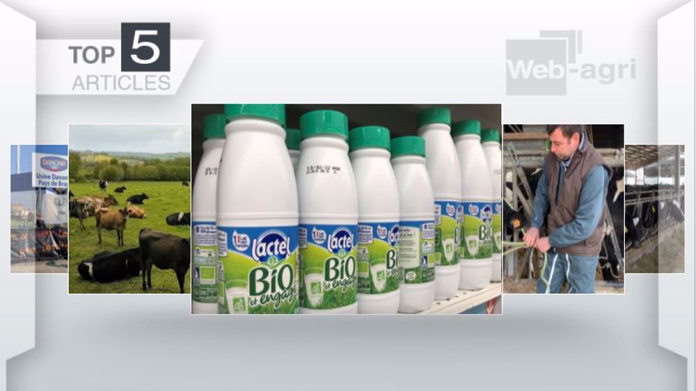 Articles les plus lus sur Web-agri cette semaine. (©Terre-net Média)
