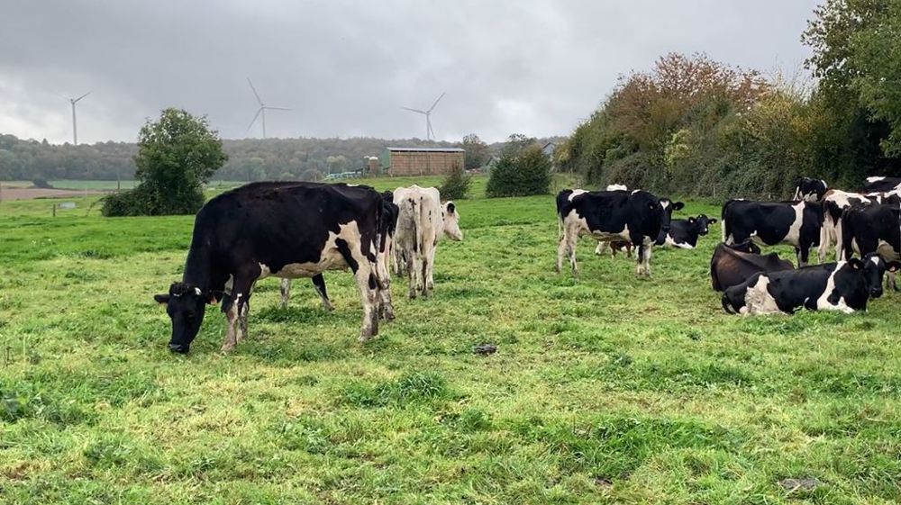 En lait mais aussi dans d'autres productions, la consommation de produits bios inquiète. (©Terre-net Média) En lait mais aussi dans d'autres productions, la consommation de produits bios inquiète. (©Terre-net Média)