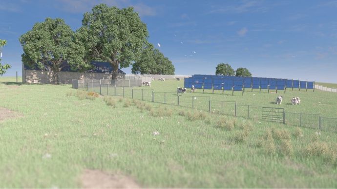 Projet Camélia