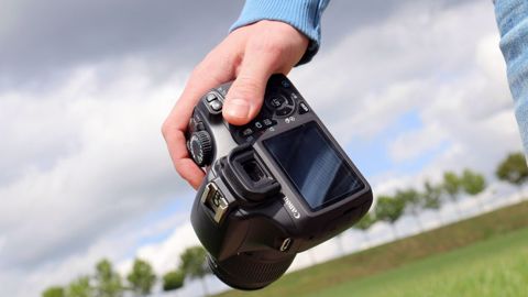 Choisissez les prochains sujets à paraitre sur Web-agri Choisissez les prochains sujets à paraitre sur Web-agri