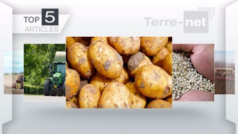  Articles les plus lus sur Terre-net cette semaine. (©Terre-net Média)