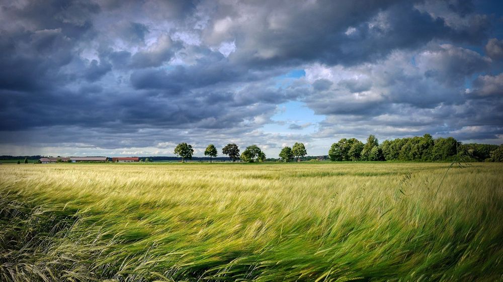 Le gouvernement vise une entrée en vigueur au 1er janvier 2023. (©Pixabay)