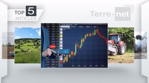 Top articles de Terre-net cette semaine. (©Terre-net Média)