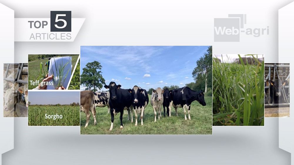 Top articles de Web-agri cette semaine. (©Terre-net Média)