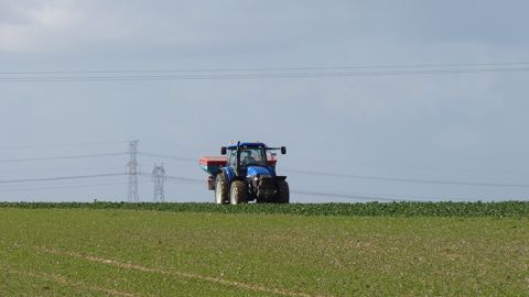 Le colza, une culture exigeante en soufre Le colza, une culture exigeante en soufre