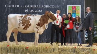 La Finistérienne Natacha, grande championne du concours Pie Rouge La Finistérienne Natacha, grande championne du concours Pie Rouge