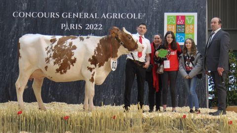 La Finistérienne Natacha, grande championne du concours Pie Rouge La Finistérienne Natacha, grande championne du concours Pie Rouge