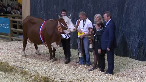 Idéale : la championne adulte du concours Abondance Idéale : la championne adulte du concours Abondance