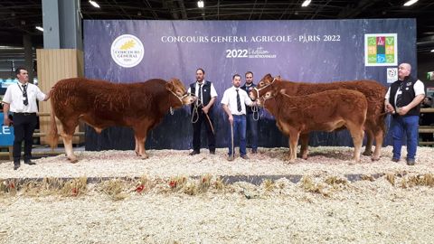 Le concours Limousin met à l'honneur la Haute-Vienne, avec Jabelle et Marechal Le concours Limousin met à l'honneur la Haute-Vienne, avec Jabelle et Marechal