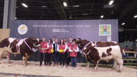 Jovial et Œillet sacrés champions de la race Rouge des Prés Jovial et Œillet sacrés champions de la race Rouge des Prés
