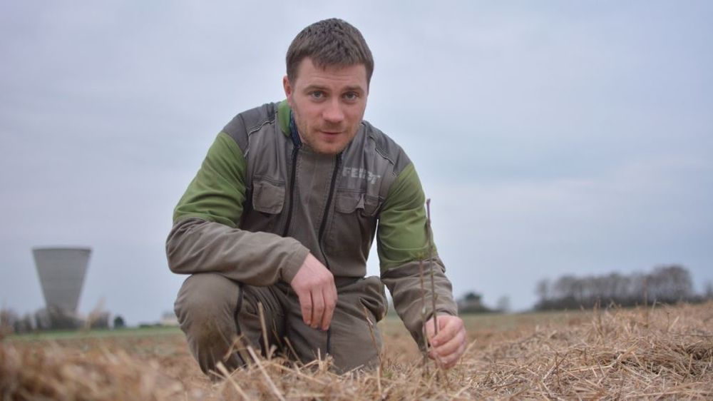 Les deux associés viennent d’implanter 300 m de haies. « On sera à la retraite avant que nos bovins en profitent ! », se dit Mickaël Jacquet. (©Antoine Humeau)