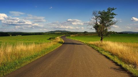 Bruxelles prépare des dérogations sur le taux minimal de terres en jachères imposé aux agriculteurs. (©Pixabay) Bruxelles prépare des dérogations sur le taux minimal de terres en jachères imposé aux agriculteurs. (©Pixabay)