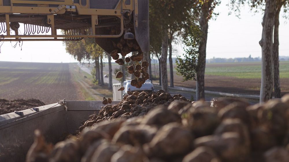  La CGB Normandie souhaite « ouvrir le dialogue » avec AKS. (©AIBS)