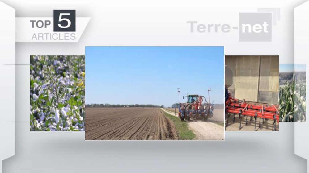 Articles les plus lus sur Terre-net cette semaine. (©Terre-net Média)
