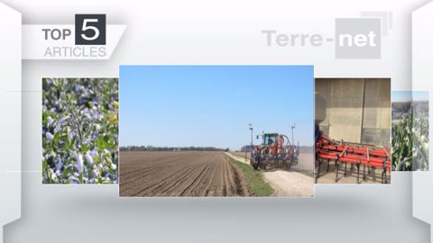 Articles les plus lus sur Terre-net cette semaine. (©Terre-net Média)