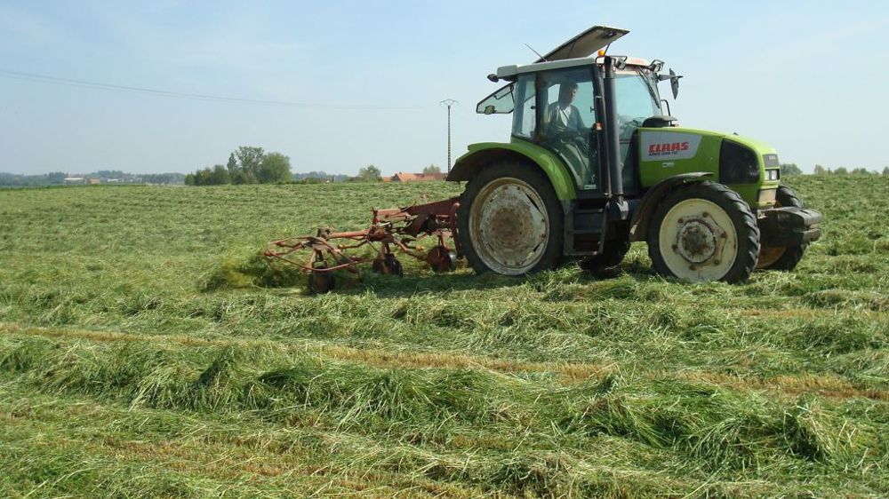 Pour plus d'autonomie protéique, les éleveurs de ruminants sont centrés sur la production et l'autoconsommation de fourrages riches en protéines, contrairement aux éleveurs de porcs ou volailles qui cherchent plutôt une réduction des besoins en protéines. (©Terre-net Média)