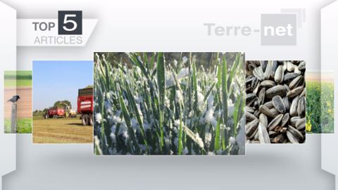 Articles les plus lus sur Terre-net cette semaine. (©Terre-net Média)
