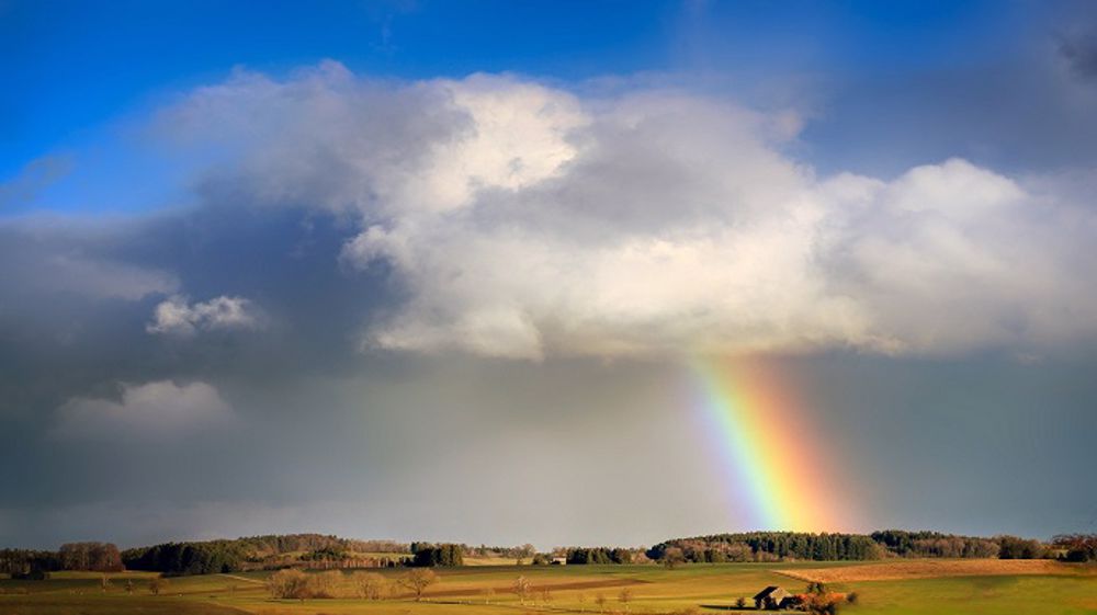 L'arrivée de pluies fait du bien aux cultures hexagonales. (©Pixabay)