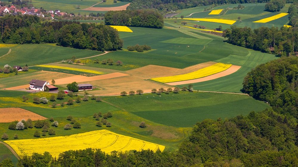 Les surfaces de colza affichent une belle hausse pour cette campagne 2021/2022 (+ 18,4 %), mais restent en-dessous de la moyenne 2017-2021 (- 6,7 %). (©Pixabay)