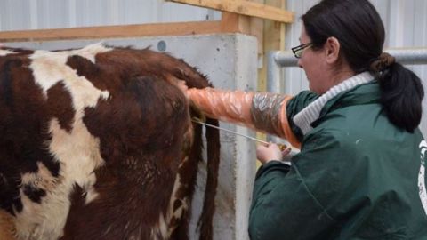 Les doses Fertimax sont actuellement disponibles sur la moitié ouest de la France, ainsi que dans les Hauts-de-France. (©Terre-net Média) Les doses Fertimax sont actuellement disponibles sur la moitié ouest de la France, ainsi que dans les Hauts-de-France. (©Terre-net Média)