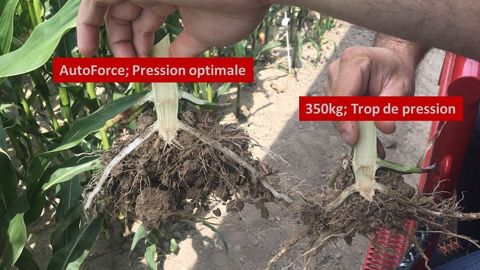 Outre la régularité de profondeur de semis, le système AutoForce régule la pression en fonction des variations de sols