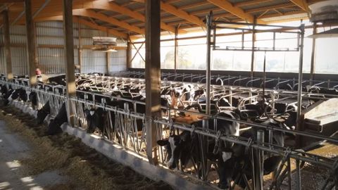 HLG nous ouvre les portes de sa propre ferme laitière HLG nous ouvre les portes de sa propre ferme laitière