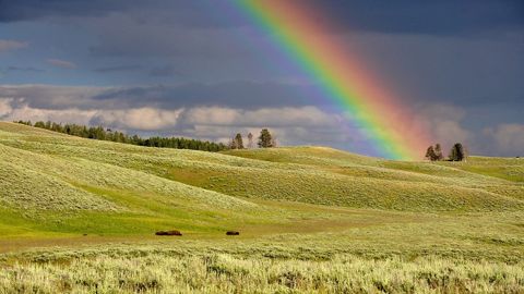 La France et la Russie profitent de conditions idéales. (©Pixabay) La France et la Russie profitent de conditions idéales. (©Pixabay)