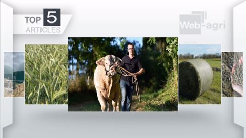 Les cinq articles les plus lus de la semaine sur Web-agri. (©Terre-net Média)