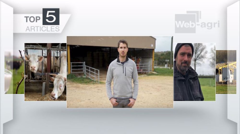 Articles les plus lus sur Web-agri cette semaine. (©Terre-net Média)