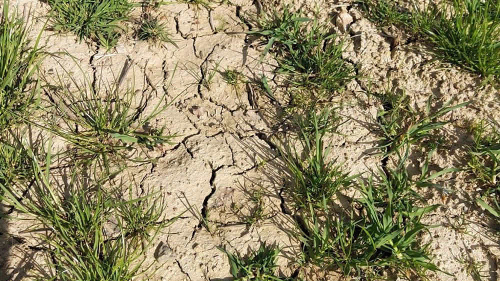 Selon MeteoNews, le déficit hydrique s'élève à 33 % au niveau national depuis début 2022. (©Compte twitter @sebfr23)