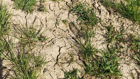 Selon MeteoNews, le déficit hydrique s'élève à 33 % au niveau national depuis début 2022. (©Compte twitter @sebfr23) Selon MeteoNews, le déficit hydrique s'élève à 33 % au niveau national depuis début 2022. (©Compte twitter @sebfr23)