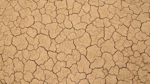Le gouvernement met tout en œuvre pour anticiper la sécheresse Le gouvernement met tout en œuvre pour anticiper la sécheresse