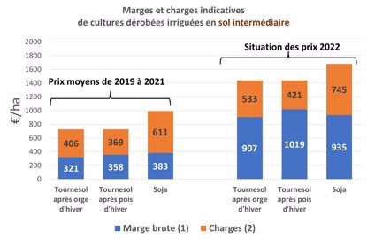 Simulation sol intermédiaire