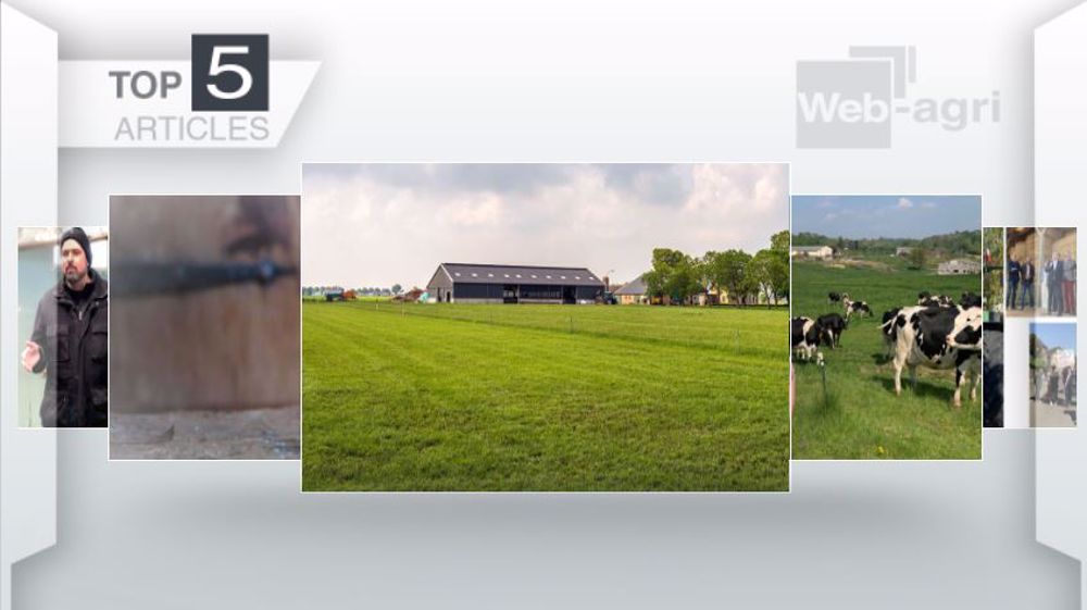 Articles les plus lus sur Web-agri cette semaine. (©Terre-net Média)