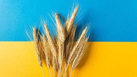 22 millions de tonnes de céréales seraient bloquées en Ukraine.<strong> </strong>(©AdobeStock) 22 millions de tonnes de céréales seraient bloquées en Ukraine.<strong> </strong>(©AdobeStock)