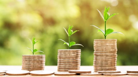 Agridées et l'Académie d'agriculture ont publié une note sur la comptabilité socio-environnementale. (©Pixabay) Agridées et l'Académie d'agriculture ont publié une note sur la comptabilité socio-environnementale. (©Pixabay)