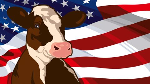 Le cheptel laitier US a brusquement baissé courant 2021, et la tendance se confirme sur les premiers mois de 2022 (©AdobeStock) Le cheptel laitier US a brusquement baissé courant 2021, et la tendance se confirme sur les premiers mois de 2022 (©AdobeStock)