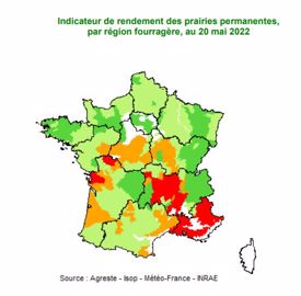Carte pousse de l'herbe au 20 mai 2022