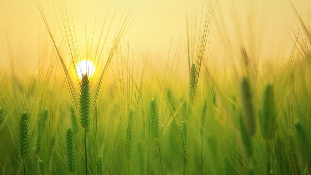 Le mois de mai 2022 a été le plus sec jamais enregistré. (©Pixabay)