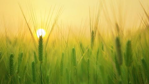 Le mois de mai 2022 a été le plus sec jamais enregistré. (©Pixabay) Le mois de mai 2022 a été le plus sec jamais enregistré. (©Pixabay)