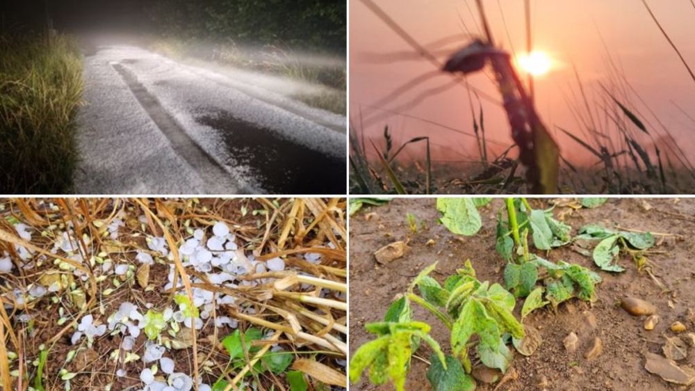 Sur Twitter, Christian Daniau, agriculteur en Nouvelle-Aquitaine, fait part des dégâts des violents orages sur son exploitation. (©@DaniauChristian)