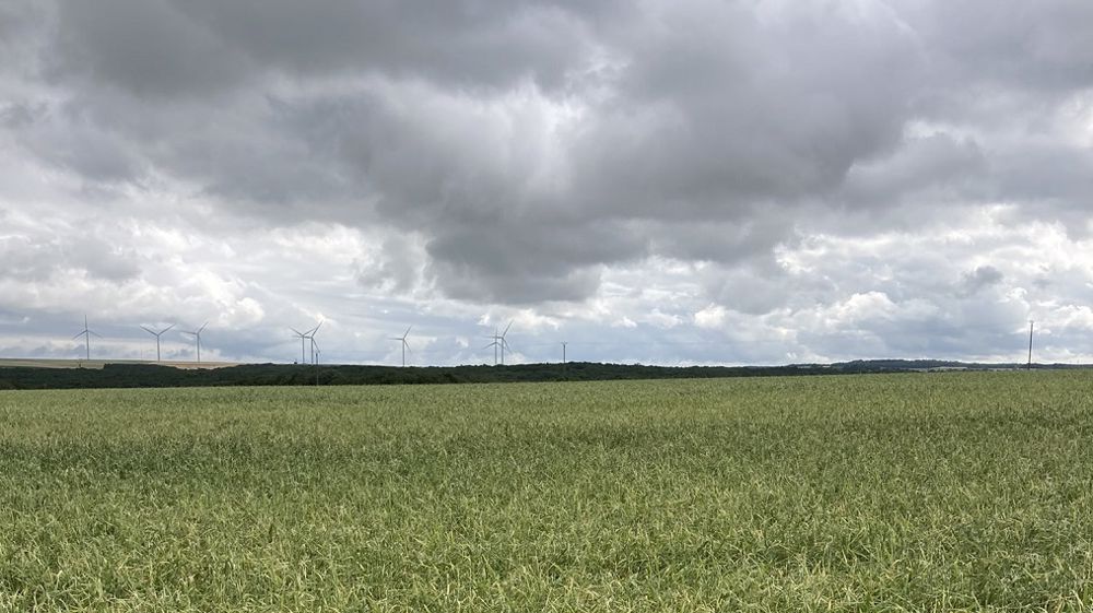 Les accidents climatiques sont de plus en plus violents et fréquents, et pourtant, seuls 30 % des céréaliers, 20 % des viticulteurs et moins de 5 % des arboriculteurs sont assurés, relève la FNSEA. (©Olivier Coste/Twitter)