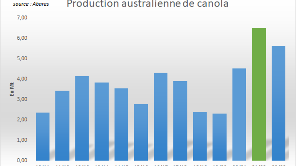 Production de canola en Australie.