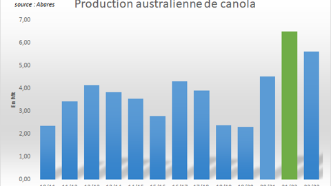 Production de canola en Australie. Production de canola en Australie.