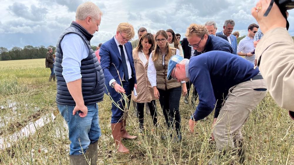 Marc Fesneau constate les dégâts de l'orage de grêle sur les cultures de Dominique Poyau, à Prunay-en-Yvelines (78), le 9 juin. (©Terre-net Média)